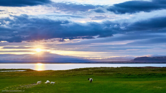 Islandija kelionės nuotraukos, Iceland vacation photos Fotografas: Dovydas Gaidamavičius © www.DovydasGaidamavicius.lt