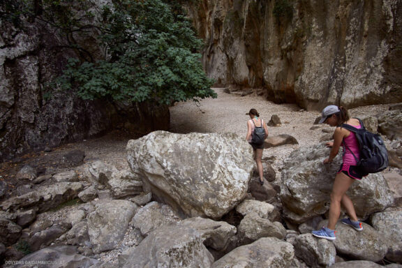 Maljorka Kelionės nuotraukos, Ispanija, Spain, Majorca Mallorca vacation photos Fotografas: Dovydas Gaidamavičius © www.DovydasGaidamavicius.lt