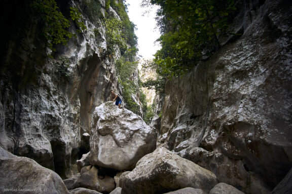 Maljorka Kelionės nuotraukos, Ispanija, Spain, Majorca Mallorca vacation photos Fotografas: Dovydas Gaidamavičius © www.DovydasGaidamavicius.lt