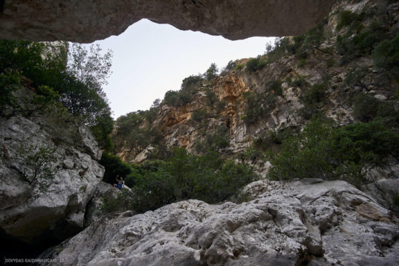 Maljorka Kelionės nuotraukos, Ispanija, Spain, Majorca Mallorca vacation photos Fotografas: Dovydas Gaidamavičius © www.DovydasGaidamavicius.lt