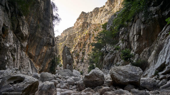Maljorka Kelionės nuotraukos, Ispanija, Spain, Majorca Mallorca vacation photos Fotografas: Dovydas Gaidamavičius © www.DovydasGaidamavicius.lt