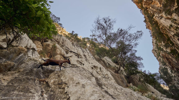 Maljorka Kelionės nuotraukos, Ispanija, Spain, Majorca Mallorca vacation photos Fotografas: Dovydas Gaidamavičius © www.DovydasGaidamavicius.lt