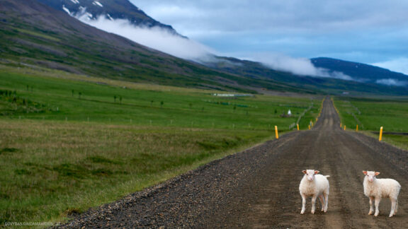 Islandija kelionės nuotraukos, Iceland vacation photos Fotografas: Dovydas Gaidamavičius © www.DovydasGaidamavicius.lt