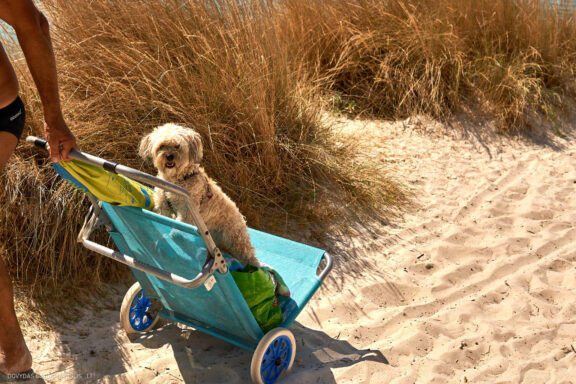 Euro Trip Kelionės nuotraukos Italija, Italy, Sea, Dog beach, Jūra, Šunų paplūdimys Fotografas: Dovydas Gaidamavičius © www.DovydasGaidamavicius.lt