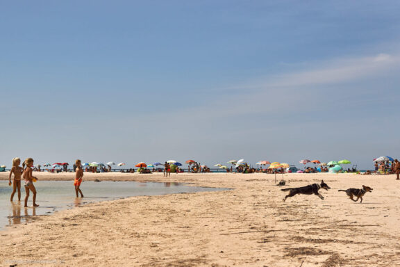 Euro Trip Kelionės nuotraukos Italija, Italy, Sea, Dog beach, Jūra, Šunų paplūdimys Fotografas: Dovydas Gaidamavičius © www.DovydasGaidamavicius.lt