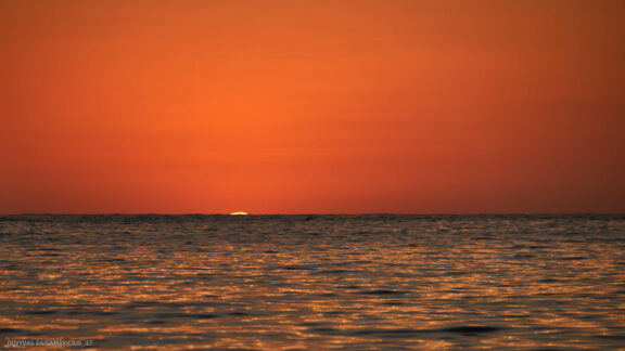 Maljorka Kelionės nuotraukos, Ispanija, Spain, Majorca Mallorca vacation photos Fotografas: Dovydas Gaidamavičius © www.DovydasGaidamavicius.lt