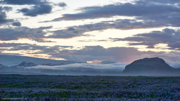 Islandija kelionės nuotraukos, Iceland vacation photos Fotografas: Dovydas Gaidamavičius © www.DovydasGaidamavicius.lt