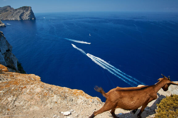 Maljorka Kelionės nuotraukos, Ispanija, Spain, Majorca Mallorca vacation photos Fotografas: Dovydas Gaidamavičius © www.DovydasGaidamavicius.lt