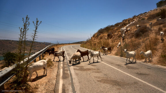 Kipras, Šokių akademija šokių kelionė, Cyprus Dance Vacation Photos Fotografas: Dovydas Gaidamavičius © www.DovydasGaidamavicius.lt
