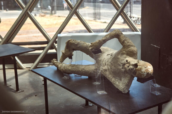 Euro Trip Kelionės nuotraukos Italija, Italy, Pompėja Pompei Fotografas: Dovydas Gaidamavičius © www.DovydasGaidamavicius.lt