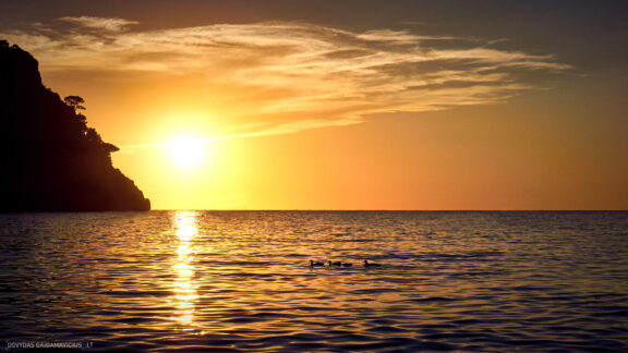 Maljorka Kelionės nuotraukos, Ispanija, Spain, Majorca Mallorca vacation photos Fotografas: Dovydas Gaidamavičius © www.DovydasGaidamavicius.lt