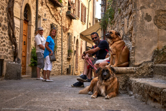 Euro Trip Kelionės nuotraukos Italija, Italy, Venecija, Venice  Fotografas: Dovydas Gaidamavičius © www.DovydasGaidamavicius.lt