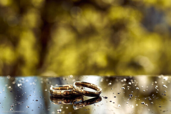 Ieva Filipkauskaitė Granickienė ir Dainius Granickas Vestuvės, Katedra fotosesija, Vilniaus civilinės metrikacijos skyrius, Gamtos vestuvių fotosesija, gamtoje, Verkių dvaras, Vilnius Fotografas: Dovydas Gaidamavičius © www.DovydasGaidamavicius.lt