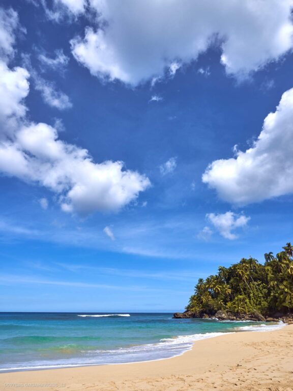 Karibai Caribbean, Dominican Republic, Dominikos Respublika Karibų nuotykis, Pažintinė kelionė, Itaka, nacionalinis parkas, Cayo Levantado, Santo Domingas, Tres Ojos, Salto de Jimenoa, Santo Cerro, Santiago de Los Kabaljerosas, Puerto Plata, Lagūna Gri Gri, Samanos pusiasalis, Playa Grande, Los Haitises, Higvėjus, Altos de Chavon Fotografas: Dovydas Gaidamavičius © www.DovydasGaidamavicius.lt www.itaka.lt