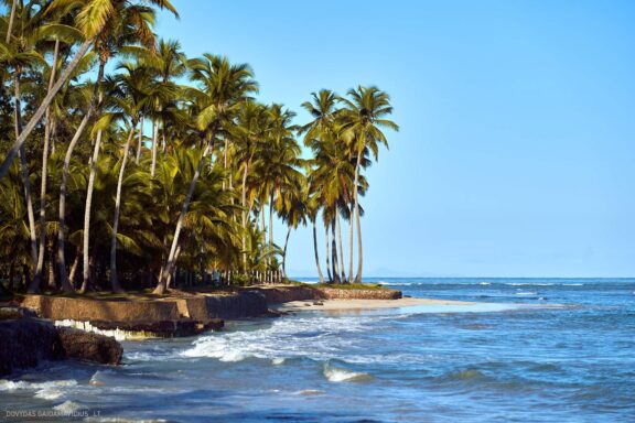 Karibai Caribbean, Dominican Republic, Dominikos Respublika Karibų nuotykis, Pažintinė kelionė, Itaka, nacionalinis parkas, Cayo Levantado, Santo Domingas, Tres Ojos, Salto de Jimenoa, Santo Cerro, Santiago de Los Kabaljerosas, Puerto Plata, Lagūna Gri Gri, Samanos pusiasalis, Playa Grande, Los Haitises, Higvėjus, Altos de Chavon Fotografas: Dovydas Gaidamavičius © www.DovydasGaidamavicius.lt www.itaka.lt