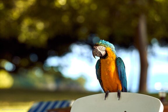 Karibai Caribbean, Dominican Republic, Dominikos Respublika Karibų nuotykis, Pažintinė kelionė, Itaka, nacionalinis parkas, Cayo Levantado, Santo Domingas, Tres Ojos, Salto de Jimenoa, Santo Cerro, Santiago de Los Kabaljerosas, Puerto Plata, Lagūna Gri Gri, Samanos pusiasalis, Playa Grande, Los Haitises, Higvėjus, Altos de Chavon Fotografas: Dovydas Gaidamavičius © www.DovydasGaidamavicius.lt www.itaka.lt