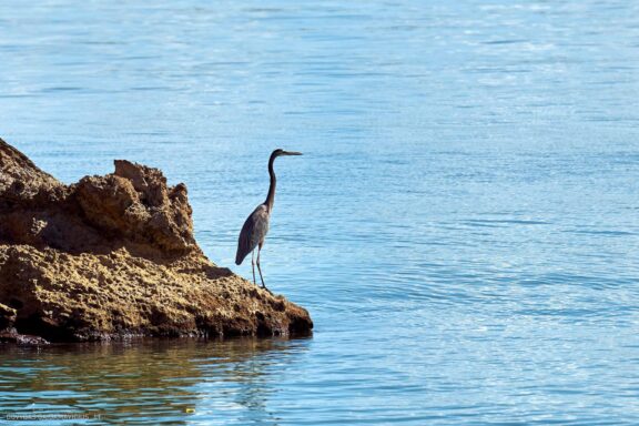 Karibai Caribbean, Dominican Republic, Dominikos Respublika Karibų nuotykis, Pažintinė kelionė, Itaka, nacionalinis parkas, Cayo Levantado, Santo Domingas, Tres Ojos, Salto de Jimenoa, Santo Cerro, Santiago de Los Kabaljerosas, Puerto Plata, Lagūna Gri Gri, Samanos pusiasalis, Playa Grande, Los Haitises, Higvėjus, Altos de Chavon Fotografas: Dovydas Gaidamavičius © www.DovydasGaidamavicius.lt www.itaka.lt