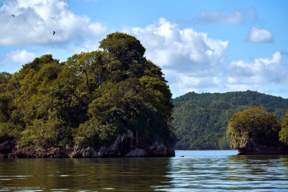 Karibai Caribbean, Dominican Republic, Dominikos Respublika Karibų nuotykis, Pažintinė kelionė, Itaka, nacionalinis parkas, Cayo Levantado, Santo Domingas, Tres Ojos, Salto de Jimenoa, Santo Cerro, Santiago de Los Kabaljerosas, Puerto Plata, Lagūna Gri Gri, Samanos pusiasalis, Playa Grande, Los Haitises, Higvėjus, Altos de Chavon Fotografas: Dovydas Gaidamavičius © www.DovydasGaidamavicius.lt www.itaka.lt