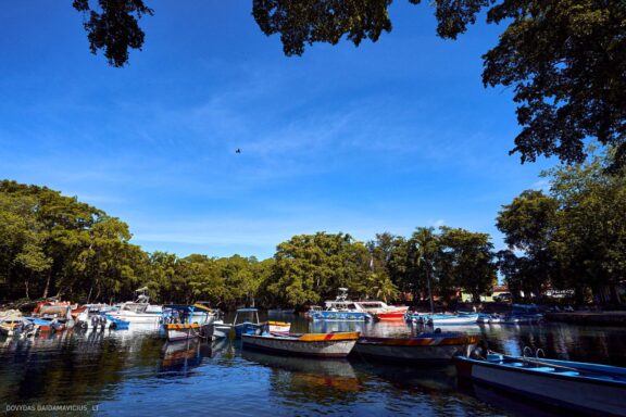 Karibai Caribbean, Dominican Republic, Dominikos Respublika Karibų nuotykis, Pažintinė kelionė, Itaka, nacionalinis parkas, Cayo Levantado, Santo Domingas, Tres Ojos, Salto de Jimenoa, Santo Cerro, Santiago de Los Kabaljerosas, Puerto Plata, Lagūna Gri Gri, Samanos pusiasalis, Playa Grande, Los Haitises, Higvėjus, Altos de Chavon Fotografas: Dovydas Gaidamavičius © www.DovydasGaidamavicius.lt www.itaka.lt