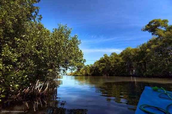 Karibai Caribbean, Dominican Republic, Dominikos Respublika Karibų nuotykis, Pažintinė kelionė, Itaka, nacionalinis parkas, Cayo Levantado, Santo Domingas, Tres Ojos, Salto de Jimenoa, Santo Cerro, Santiago de Los Kabaljerosas, Puerto Plata, Lagūna Gri Gri, Samanos pusiasalis, Playa Grande, Los Haitises, Higvėjus, Altos de Chavon Fotografas: Dovydas Gaidamavičius © www.DovydasGaidamavicius.lt www.itaka.lt