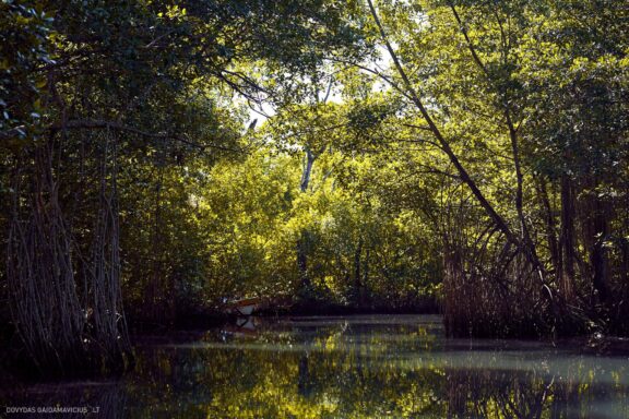 Karibai Caribbean, Dominican Republic, Dominikos Respublika Karibų nuotykis, Pažintinė kelionė, Itaka, nacionalinis parkas, Cayo Levantado, Santo Domingas, Tres Ojos, Salto de Jimenoa, Santo Cerro, Santiago de Los Kabaljerosas, Puerto Plata, Lagūna Gri Gri, Samanos pusiasalis, Playa Grande, Los Haitises, Higvėjus, Altos de Chavon Fotografas: Dovydas Gaidamavičius © www.DovydasGaidamavicius.lt www.itaka.lt