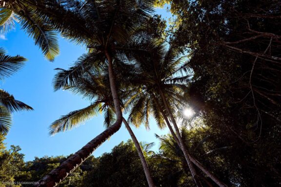 Karibai Caribbean, Dominican Republic, Dominikos Respublika Karibų nuotykis, Pažintinė kelionė, Itaka, nacionalinis parkas, Cayo Levantado, Santo Domingas, Tres Ojos, Salto de Jimenoa, Santo Cerro, Santiago de Los Kabaljerosas, Puerto Plata, Lagūna Gri Gri, Samanos pusiasalis, Playa Grande, Los Haitises, Higvėjus, Altos de Chavon Fotografas: Dovydas Gaidamavičius © www.DovydasGaidamavicius.lt www.itaka.lt