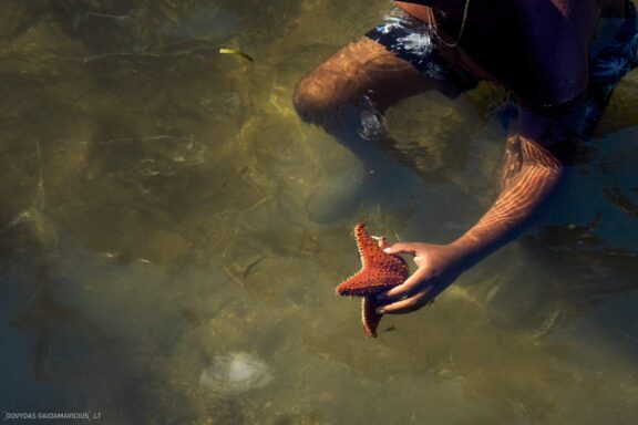 Karibai Caribbean, Dominican Republic, Dominikos Respublika Karibų nuotykis, Pažintinė kelionė, Itaka, nacionalinis parkas, Cayo Levantado, Santo Domingas, Tres Ojos, Salto de Jimenoa, Santo Cerro, Santiago de Los Kabaljerosas, Puerto Plata, Lagūna Gri Gri, Samanos pusiasalis, Playa Grande, Los Haitises, Higvėjus, Altos de Chavon Fotografas: Dovydas Gaidamavičius © www.DovydasGaidamavicius.lt www.itaka.lt