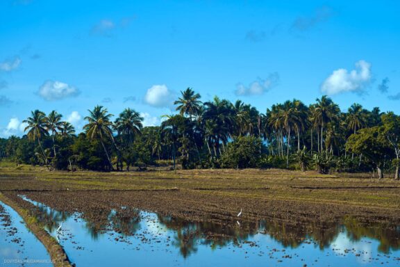 Karibai Caribbean, Dominican Republic, Dominikos Respublika Karibų nuotykis, Pažintinė kelionė, Itaka, nacionalinis parkas, Cayo Levantado, Santo Domingas, Tres Ojos, Salto de Jimenoa, Santo Cerro, Santiago de Los Kabaljerosas, Puerto Plata, Lagūna Gri Gri, Samanos pusiasalis, Playa Grande, Los Haitises, Higvėjus, Altos de Chavon Fotografas: Dovydas Gaidamavičius © www.DovydasGaidamavicius.lt www.itaka.lt
