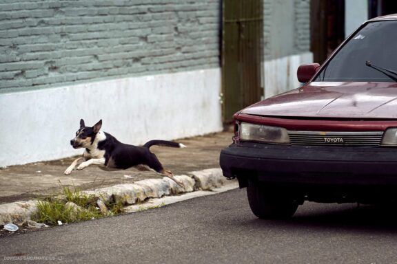 Karibai Caribbean, Dominican Republic, Dominikos Respublika Karibų nuotykis, Pažintinė kelionė, Itaka, nacionalinis parkas, Cayo Levantado, Santo Domingas, Tres Ojos, Salto de Jimenoa, Santo Cerro, Santiago de Los Kabaljerosas, Puerto Plata, Lagūna Gri Gri, Samanos pusiasalis, Playa Grande, Los Haitises, Higvėjus, Altos de Chavon Fotografas: Dovydas Gaidamavičius © www.DovydasGaidamavicius.lt www.itaka.lt