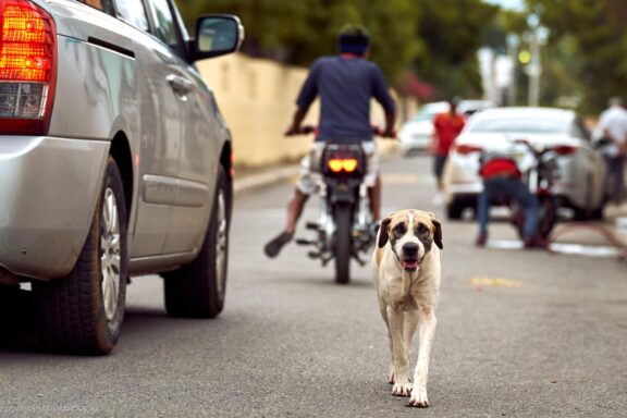 Karibai Caribbean, Dominican Republic, Dominikos Respublika Karibų nuotykis, Pažintinė kelionė, Itaka, nacionalinis parkas, Cayo Levantado, Santo Domingas, Tres Ojos, Salto de Jimenoa, Santo Cerro, Santiago de Los Kabaljerosas, Puerto Plata, Lagūna Gri Gri, Samanos pusiasalis, Playa Grande, Los Haitises, Higvėjus, Altos de Chavon Fotografas: Dovydas Gaidamavičius © www.DovydasGaidamavicius.lt www.itaka.lt