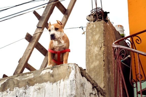 Karibai Caribbean, Dominican Republic, Dominikos Respublika Karibų nuotykis, Pažintinė kelionė, Itaka, nacionalinis parkas, Cayo Levantado, Santo Domingas, Tres Ojos, Salto de Jimenoa, Santo Cerro, Santiago de Los Kabaljerosas, Puerto Plata, Lagūna Gri Gri, Samanos pusiasalis, Playa Grande, Los Haitises, Higvėjus, Altos de Chavon Fotografas: Dovydas Gaidamavičius © www.DovydasGaidamavicius.lt www.itaka.lt