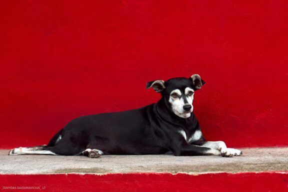 Karibai Caribbean, Dominican Republic, Dominikos Respublika Karibų nuotykis, Pažintinė kelionė, Itaka, nacionalinis parkas, Cayo Levantado, Santo Domingas, Tres Ojos, Salto de Jimenoa, Santo Cerro, Santiago de Los Kabaljerosas, Puerto Plata, Lagūna Gri Gri, Samanos pusiasalis, Playa Grande, Los Haitises, Higvėjus, Altos de Chavon Fotografas: Dovydas Gaidamavičius © www.DovydasGaidamavicius.lt www.itaka.lt