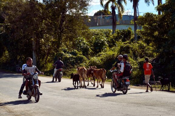 Karibai Caribbean, Dominican Republic, Dominikos Respublika Karibų nuotykis, Pažintinė kelionė, Itaka, nacionalinis parkas, Cayo Levantado, Santo Domingas, Tres Ojos, Salto de Jimenoa, Santo Cerro, Santiago de Los Kabaljerosas, Puerto Plata, Lagūna Gri Gri, Samanos pusiasalis, Playa Grande, Los Haitises, Higvėjus, Altos de Chavon Fotografas: Dovydas Gaidamavičius © www.DovydasGaidamavicius.lt www.itaka.lt