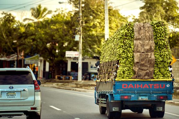 Karibai Caribbean, Dominican Republic, Dominikos Respublika Karibų nuotykis, Pažintinė kelionė, Itaka, nacionalinis parkas, Cayo Levantado, Santo Domingas, Tres Ojos, Salto de Jimenoa, Santo Cerro, Santiago de Los Kabaljerosas, Puerto Plata, Lagūna Gri Gri, Samanos pusiasalis, Playa Grande, Los Haitises, Higvėjus, Altos de Chavon Fotografas: Dovydas Gaidamavičius © www.DovydasGaidamavicius.lt www.itaka.lt