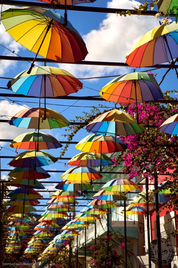 Karibai Caribbean, Dominican Republic, Dominikos Respublika Karibų nuotykis, Pažintinė kelionė, Itaka, nacionalinis parkas, Cayo Levantado, Santo Domingas, Tres Ojos, Salto de Jimenoa, Santo Cerro, Santiago de Los Kabaljerosas, Puerto Plata, Lagūna Gri Gri, Samanos pusiasalis, Playa Grande, Los Haitises, Higvėjus, Altos de Chavon Fotografas: Dovydas Gaidamavičius © www.DovydasGaidamavicius.lt www.itaka.lt