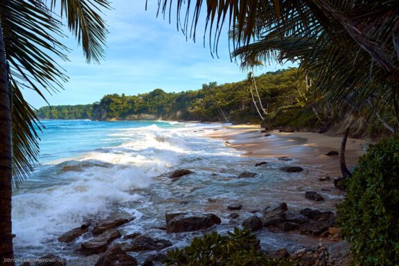 Karibai Caribbean, Dominican Republic, Dominikos Respublika Karibų nuotykis, Pažintinė kelionė, Itaka, nacionalinis parkas, Cayo Levantado, Santo Domingas, Tres Ojos, Salto de Jimenoa, Santo Cerro, Santiago de Los Kabaljerosas, Puerto Plata, Lagūna Gri Gri, Samanos pusiasalis, Playa Grande, Los Haitises, Higvėjus, Altos de Chavon Fotografas: Dovydas Gaidamavičius © www.DovydasGaidamavicius.lt www.itaka.lt