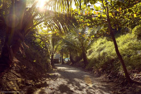 Karibai Caribbean, Dominican Republic, Dominikos Respublika Karibų nuotykis, Pažintinė kelionė, Itaka, nacionalinis parkas, Cayo Levantado, Santo Domingas, Tres Ojos, Salto de Jimenoa, Santo Cerro, Santiago de Los Kabaljerosas, Puerto Plata, Lagūna Gri Gri, Samanos pusiasalis, Playa Grande, Los Haitises, Higvėjus, Altos de Chavon Fotografas: Dovydas Gaidamavičius © www.DovydasGaidamavicius.lt www.itaka.lt