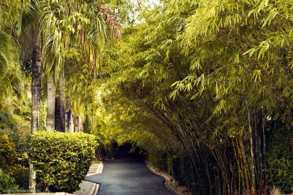 Karibai Caribbean, Dominican Republic, Dominikos Respublika Karibų nuotykis, Pažintinė kelionė, Itaka, nacionalinis parkas, Cayo Levantado, Santo Domingas, Tres Ojos, Salto de Jimenoa, Santo Cerro, Santiago de Los Kabaljerosas, Puerto Plata, Lagūna Gri Gri, Samanos pusiasalis, Playa Grande, Los Haitises, Higvėjus, Altos de Chavon Fotografas: Dovydas Gaidamavičius © www.DovydasGaidamavicius.lt www.itaka.lt