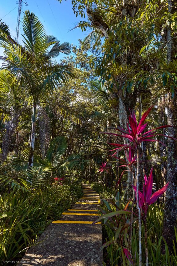 Karibai Caribbean, Dominican Republic, Dominikos Respublika Karibų nuotykis, Pažintinė kelionė, Itaka, nacionalinis parkas, Cayo Levantado, Santo Domingas, Tres Ojos, Salto de Jimenoa, Santo Cerro, Santiago de Los Kabaljerosas, Puerto Plata, Lagūna Gri Gri, Samanos pusiasalis, Playa Grande, Los Haitises, Higvėjus, Altos de Chavon Fotografas: Dovydas Gaidamavičius © www.DovydasGaidamavicius.lt www.itaka.lt