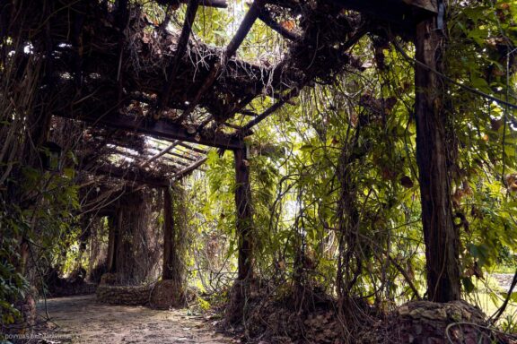 Karibai Caribbean, Dominican Republic, Dominikos Respublika Karibų nuotykis, Pažintinė kelionė, Itaka, nacionalinis parkas, Cayo Levantado, Santo Domingas, Tres Ojos, Salto de Jimenoa, Santo Cerro, Santiago de Los Kabaljerosas, Puerto Plata, Lagūna Gri Gri, Samanos pusiasalis, Playa Grande, Los Haitises, Higvėjus, Altos de Chavon Fotografas: Dovydas Gaidamavičius © www.DovydasGaidamavicius.lt www.itaka.lt