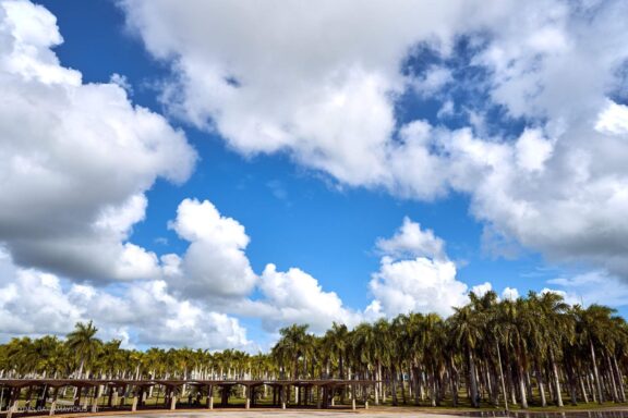 Karibai Caribbean, Dominican Republic, Dominikos Respublika Karibų nuotykis, Pažintinė kelionė, Itaka, nacionalinis parkas, Cayo Levantado, Santo Domingas, Tres Ojos, Salto de Jimenoa, Santo Cerro, Santiago de Los Kabaljerosas, Puerto Plata, Lagūna Gri Gri, Samanos pusiasalis, Playa Grande, Los Haitises, Higvėjus, Altos de Chavon Fotografas: Dovydas Gaidamavičius © www.DovydasGaidamavicius.lt www.itaka.lt