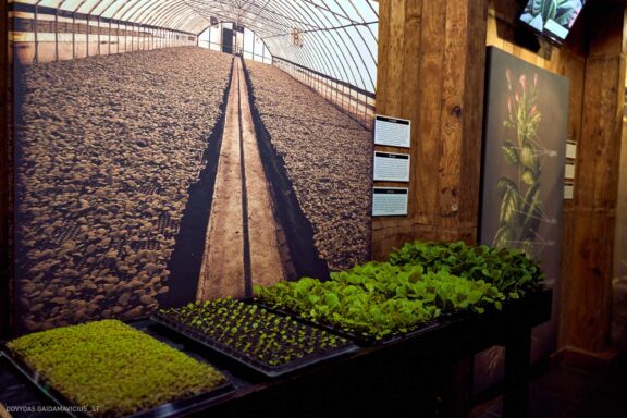 Karibai Caribbean, Dominican Republic, Dominikos Respublika Karibų nuotykis, Pažintinė kelionė, Itaka, nacionalinis parkas, Cayo Levantado, Santo Domingas, Tres Ojos, Salto de Jimenoa, Santo Cerro, Santiago de Los Kabaljerosas, Puerto Plata, Lagūna Gri Gri, Samanos pusiasalis, Playa Grande, Los Haitises, Higvėjus, Altos de Chavon Fotografas: Dovydas Gaidamavičius © www.DovydasGaidamavicius.lt www.itaka.lt