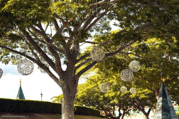 Karibai Caribbean, Dominican Republic, Dominikos Respublika Karibų nuotykis, Pažintinė kelionė, Itaka, nacionalinis parkas, Cayo Levantado, Santo Domingas, Tres Ojos, Salto de Jimenoa, Santo Cerro, Santiago de Los Kabaljerosas, Puerto Plata, Lagūna Gri Gri, Samanos pusiasalis, Playa Grande, Los Haitises, Higvėjus, Altos de Chavon Fotografas: Dovydas Gaidamavičius © www.DovydasGaidamavicius.lt www.itaka.lt