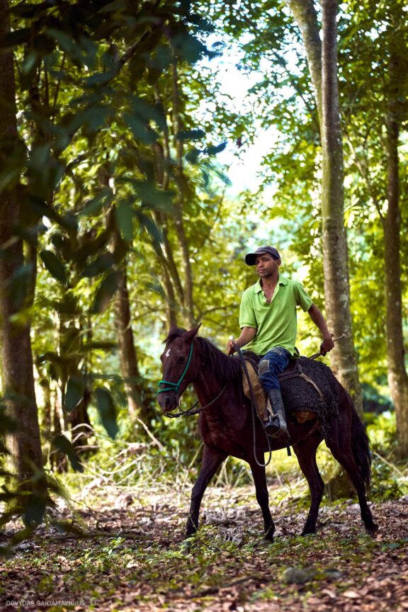 Karibai Caribbean, Dominican Republic, Dominikos Respublika Karibų nuotykis, Pažintinė kelionė, Itaka, nacionalinis parkas, Cayo Levantado, Santo Domingas, Tres Ojos, Salto de Jimenoa, Santo Cerro, Santiago de Los Kabaljerosas, Puerto Plata, Lagūna Gri Gri, Samanos pusiasalis, Playa Grande, Los Haitises, Higvėjus, Altos de Chavon Fotografas: Dovydas Gaidamavičius © www.DovydasGaidamavicius.lt www.itaka.lt