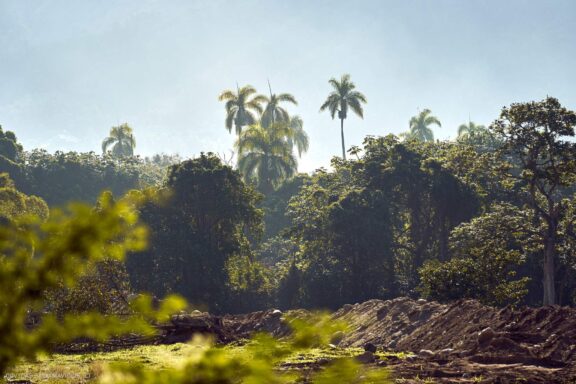 Karibai Caribbean, Dominican Republic, Dominikos Respublika Karibų nuotykis, Pažintinė kelionė, Itaka, nacionalinis parkas, Cayo Levantado, Santo Domingas, Tres Ojos, Salto de Jimenoa, Santo Cerro, Santiago de Los Kabaljerosas, Puerto Plata, Lagūna Gri Gri, Samanos pusiasalis, Playa Grande, Los Haitises, Higvėjus, Altos de Chavon Fotografas: Dovydas Gaidamavičius © www.DovydasGaidamavicius.lt www.itaka.lt