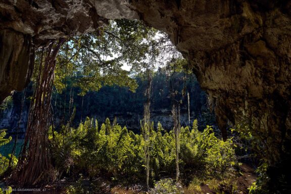 Karibai Caribbean, Dominican Republic, Dominikos Respublika Karibų nuotykis, Pažintinė kelionė, Itaka, nacionalinis parkas, Cayo Levantado, Santo Domingas, Tres Ojos, Salto de Jimenoa, Santo Cerro, Santiago de Los Kabaljerosas, Puerto Plata, Lagūna Gri Gri, Samanos pusiasalis, Playa Grande, Los Haitises, Higvėjus, Altos de Chavon Fotografas: Dovydas Gaidamavičius © www.DovydasGaidamavicius.lt www.itaka.lt