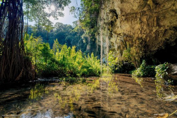 Karibai Caribbean, Dominican Republic, Dominikos Respublika Karibų nuotykis, Pažintinė kelionė, Itaka, nacionalinis parkas, Cayo Levantado, Santo Domingas, Tres Ojos, Salto de Jimenoa, Santo Cerro, Santiago de Los Kabaljerosas, Puerto Plata, Lagūna Gri Gri, Samanos pusiasalis, Playa Grande, Los Haitises, Higvėjus, Altos de Chavon Fotografas: Dovydas Gaidamavičius © www.DovydasGaidamavicius.lt www.itaka.lt