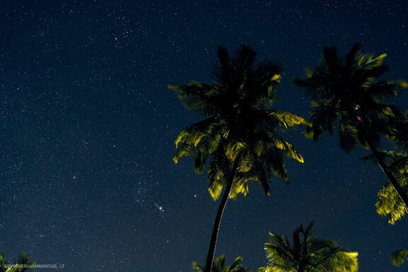 Karibai Caribbean, Dominican Republic, Dominikos Respublika Karibų nuotykis, Pažintinė kelionė, Itaka, nacionalinis parkas, Cayo Levantado, Santo Domingas, Tres Ojos, Salto de Jimenoa, Santo Cerro, Santiago de Los Kabaljerosas, Puerto Plata, Lagūna Gri Gri, Samanos pusiasalis, Playa Grande, Los Haitises, Higvėjus, Altos de Chavon Fotografas: Dovydas Gaidamavičius © www.DovydasGaidamavicius.lt www.itaka.lt