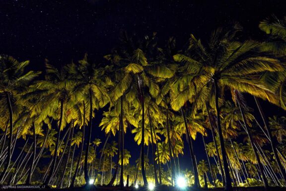 Karibai Caribbean, Dominican Republic, Dominikos Respublika Karibų nuotykis, Pažintinė kelionė, Itaka, nacionalinis parkas, Cayo Levantado, Santo Domingas, Tres Ojos, Salto de Jimenoa, Santo Cerro, Santiago de Los Kabaljerosas, Puerto Plata, Lagūna Gri Gri, Samanos pusiasalis, Playa Grande, Los Haitises, Higvėjus, Altos de Chavon Fotografas: Dovydas Gaidamavičius © www.DovydasGaidamavicius.lt www.itaka.lt