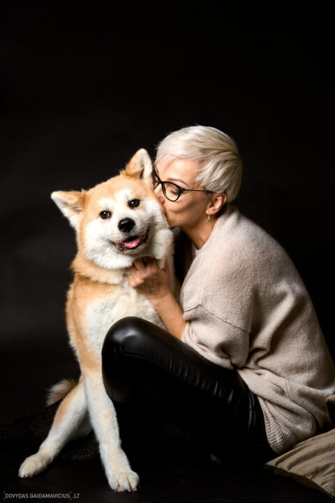 Augintinio šuns fotosesija foto studijoje, Vilnius, Šiaurės Miestelis, Žirmūnai. Akita dog photoshoot studio, Fotografas: Dovydas Gaidamavičius © www.DovydasGaidamavicius.lt www.Dovis.lt